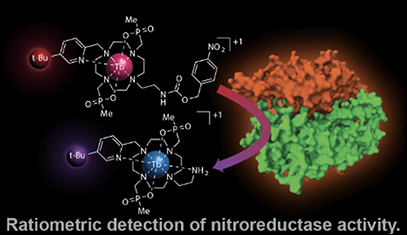 Chemical drawings of small molecules and a protein